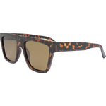 Blair Polarised Retro Square Sunglasses - Tort Brown