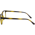 LF 4166 Brown Square Reading Glasses