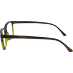 LF 4166 Olive Square Reading Glasses