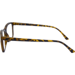 LF 4166 Tort Square Reading Glasses